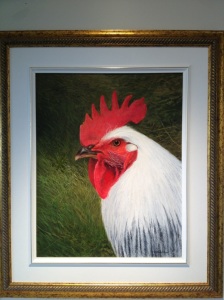 Oil painting portrait of our Light Brahma rooster, Bill by E. Colin Williams